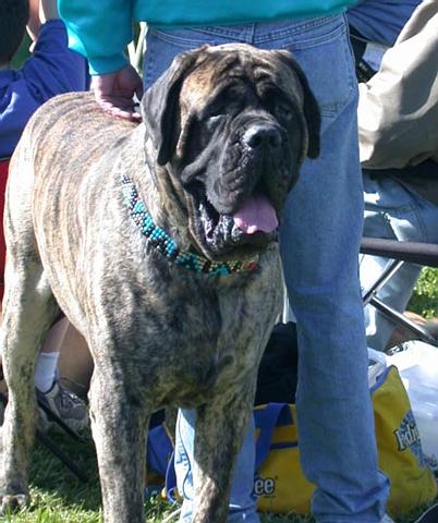 Darksides Cody 2.jpg (41216 bytes)