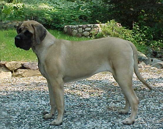 madonna7web.jpg (102908 bytes)