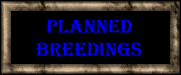 Planned Breedings